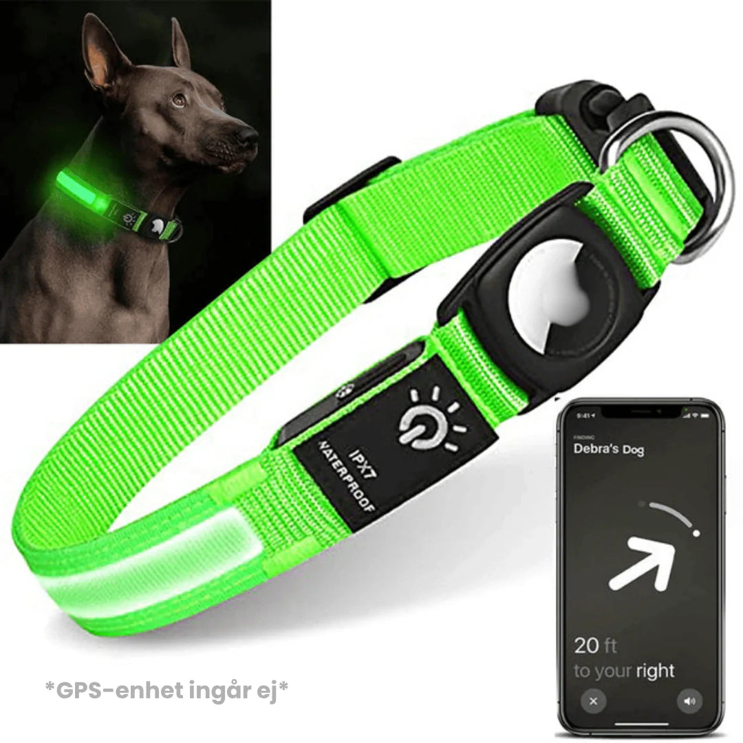 Högkvalitativt AirTag-hundhalsband, laddbart och lysande, för maximal säkerhet och synlighet utomhus.