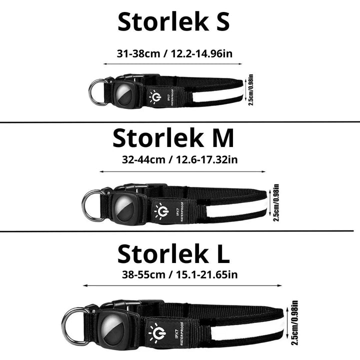 Lysande AirTag hundhalsband som ökar synlighet och trygghet på kvällspromenader, viktigt för husdjur.