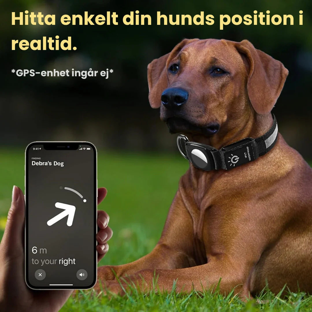 Hållbart AirTag-kompatibelt hundhalsband med lysande LED-funktion, perfekt för spårning och mörker.