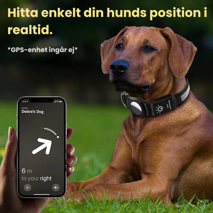 Hållbart AirTag-kompatibelt hundhalsband med lysande LED-funktion, perfekt för spårning och mörker.
