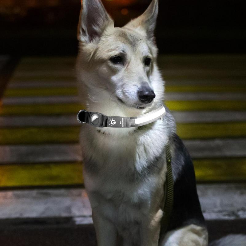 Uppladdningsbart hundhalsband med AirTag-fäste och stark LED-belysning för ökad säkerhet och spårning.