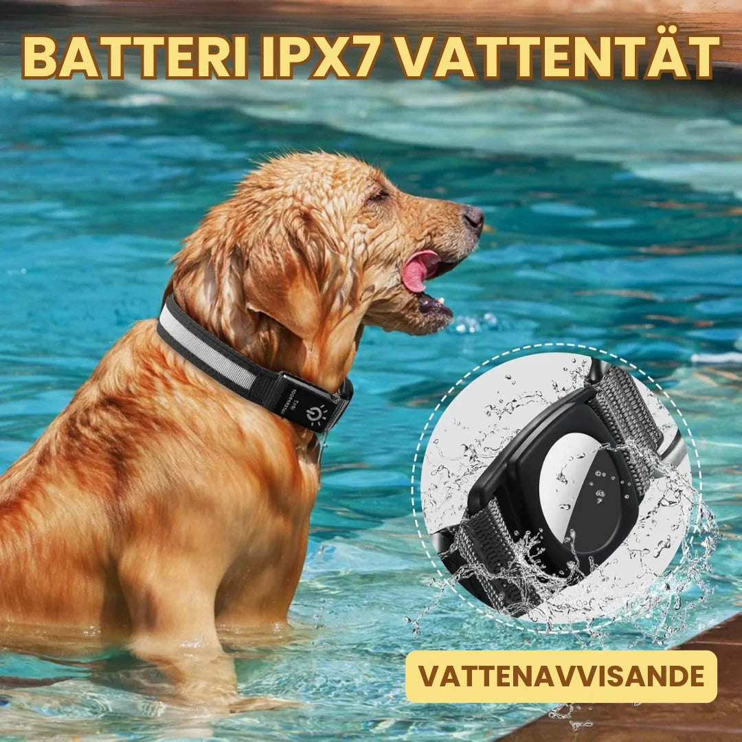Vattentätt AirTag-hundhalsband med LED-ljus, perfekt för äventyr och spårning av husdjur i alla väder.
