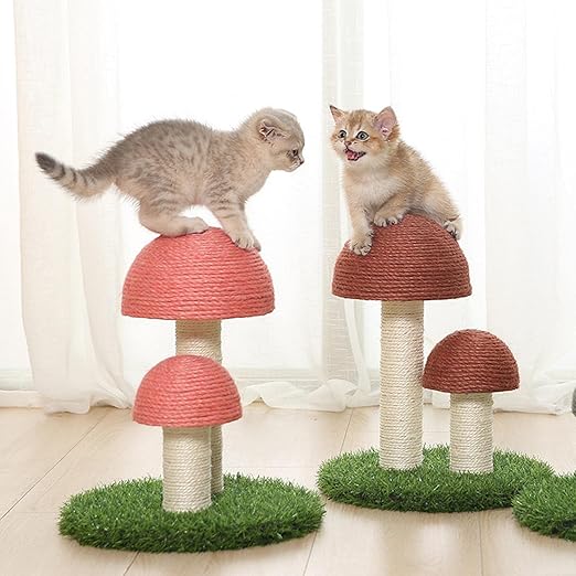Lekfullt kattklösträd i sisal med svampdesign. Perfekt för aktiva katter, skyddar möbler och ger klovård.