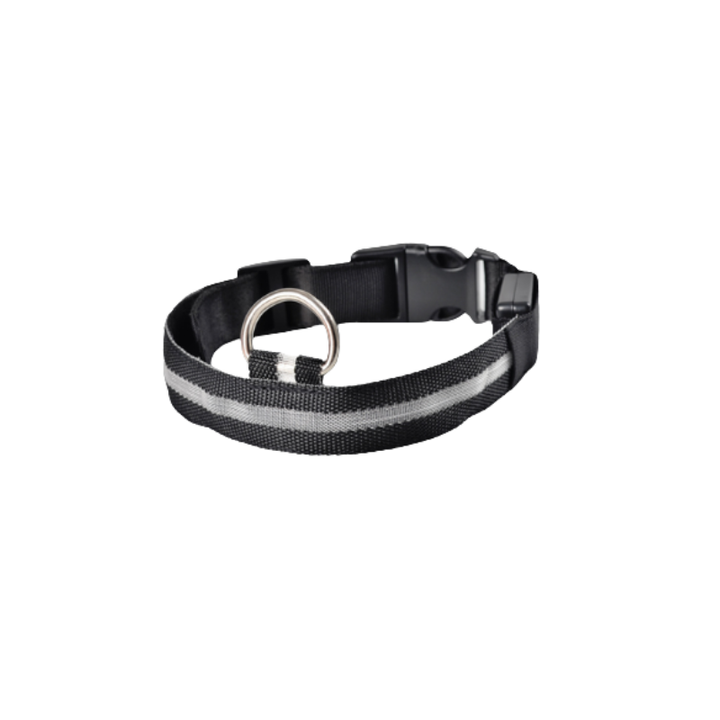 Säkerhets-LED-halsband för hund. Håll din hund synlig med detta USB-laddade halsband på mörka promenader.