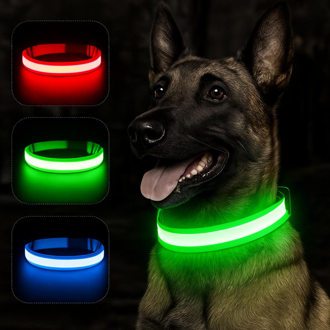 Reflexhalsband med LED-belysning för husdjur. Essentiellt för synlighet och säkerhet för hund och katt i mörker.