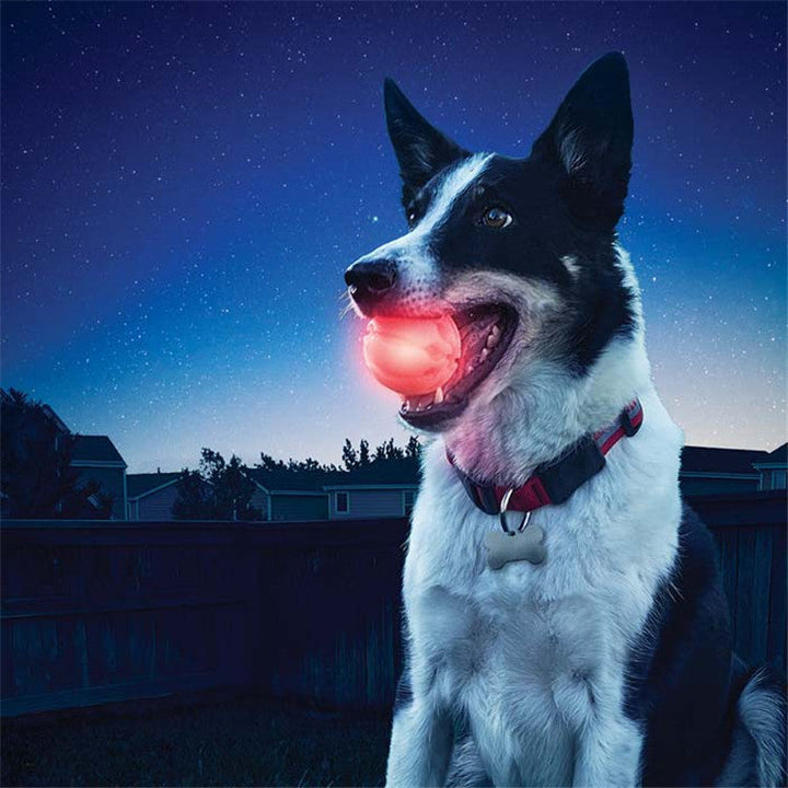 Lysande, vattenresistent hundboll för utomhuslek. Perfekt för kvällslek, flyter i vatten.