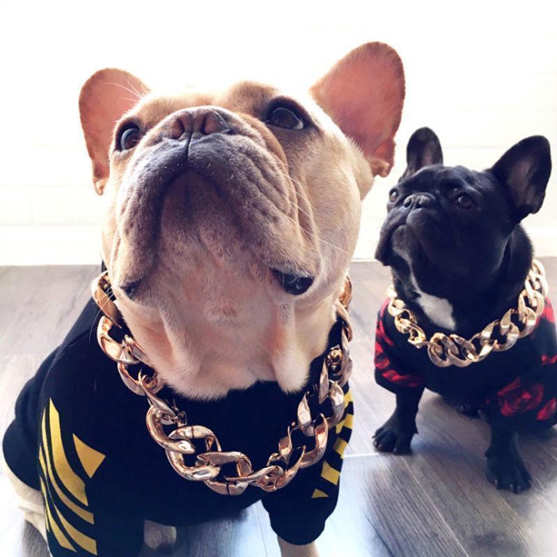 "Lyxigt guldpläterat hundhalsband med hip-hop stil, glänsande finish, tre storlekar, modeaccessoar för husdjur."