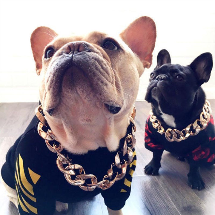 "Lyxigt guldpläterat hundhalsband med hip-hop stil, glänsande finish, tre storlekar, modeaccessoar för husdjur."