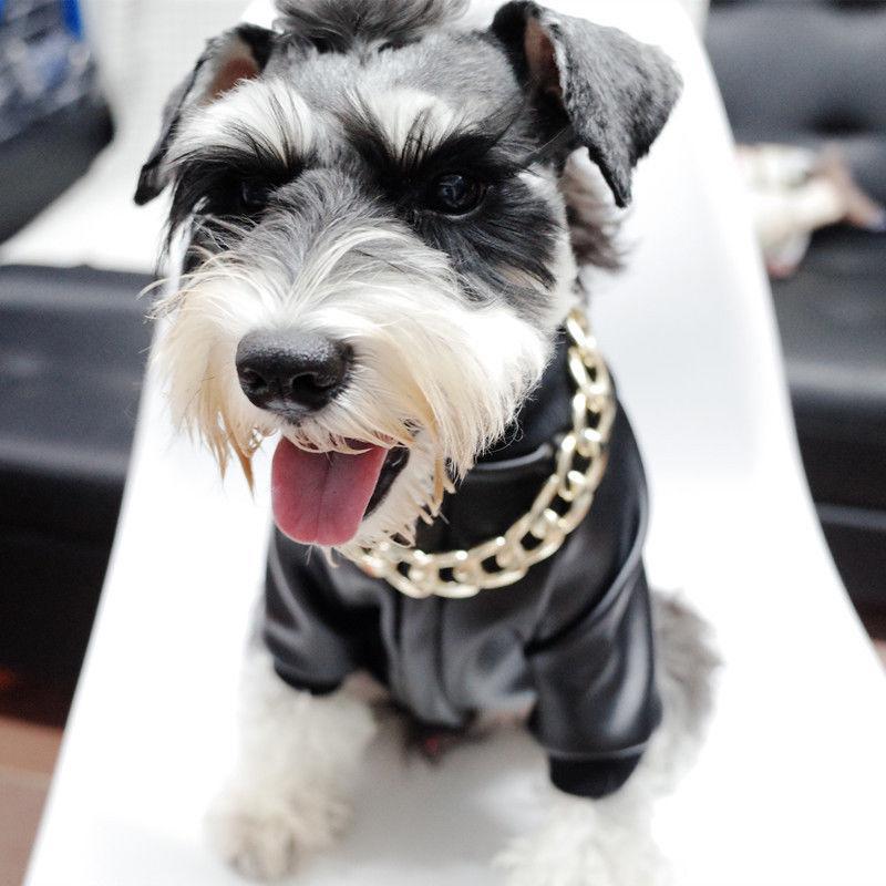 "Lyxigt guldpläterat hundhalsband med hip-hop stil, glänsande finish, tre storlekar, modeaccessoar för husdjur."