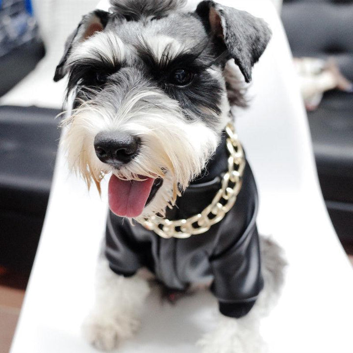 "Lyxigt guldpläterat hundhalsband med hip-hop stil, glänsande finish, tre storlekar, modeaccessoar för husdjur."