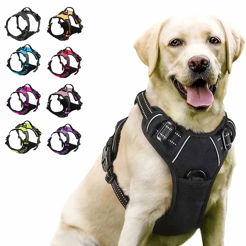 Mångsidig hundsele för bil och promenad. Bekväm, säker och med reflexer.