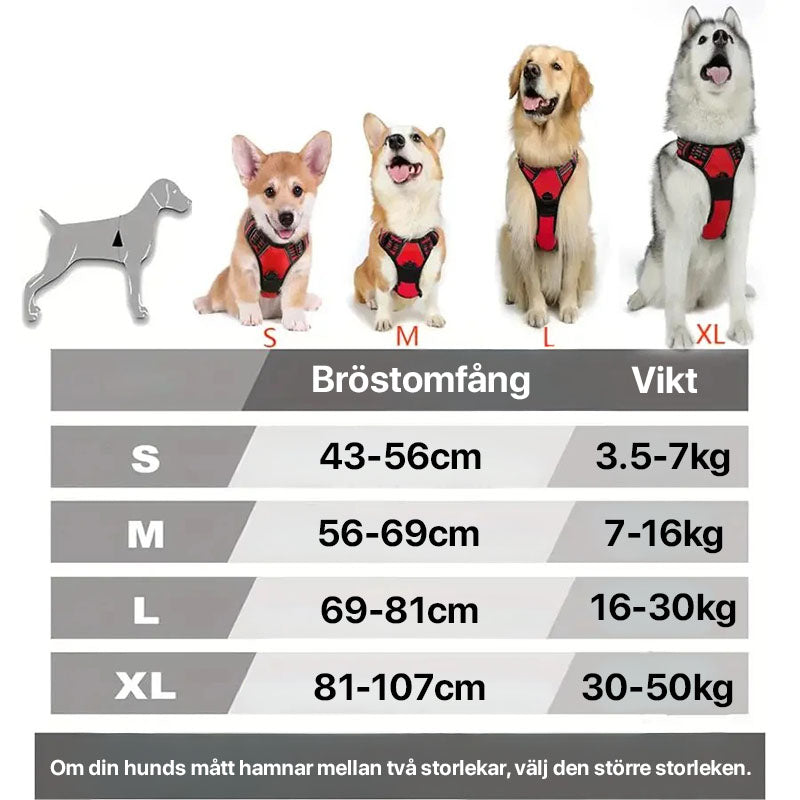 Bekväm promenadsele för hund med reflex. Perfekt för mörka kvällar och dagsturer.