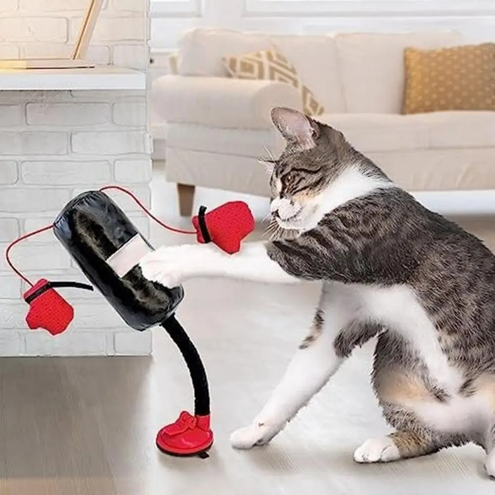 Interaktiv kattleksak med sugkopp och fjädrande boxboll för katter