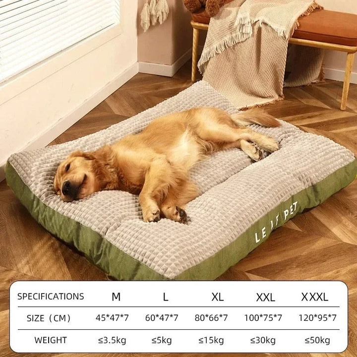 Stor hund vilar bekvämt på den ortopediska sovdynan