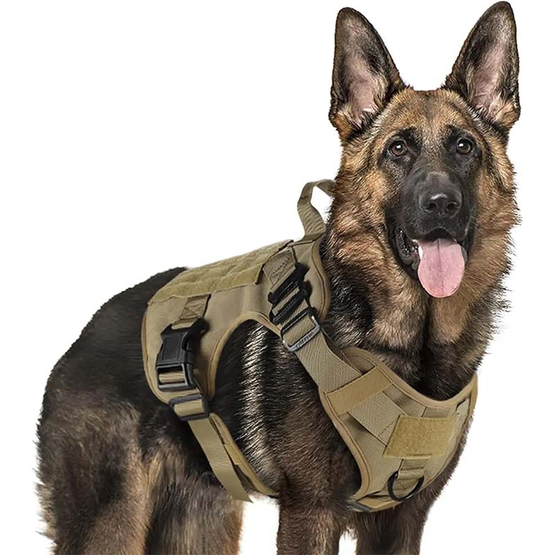 Frontvy av robust anti-drag hundsele i militärstil. Ger god kontroll under hundträning.