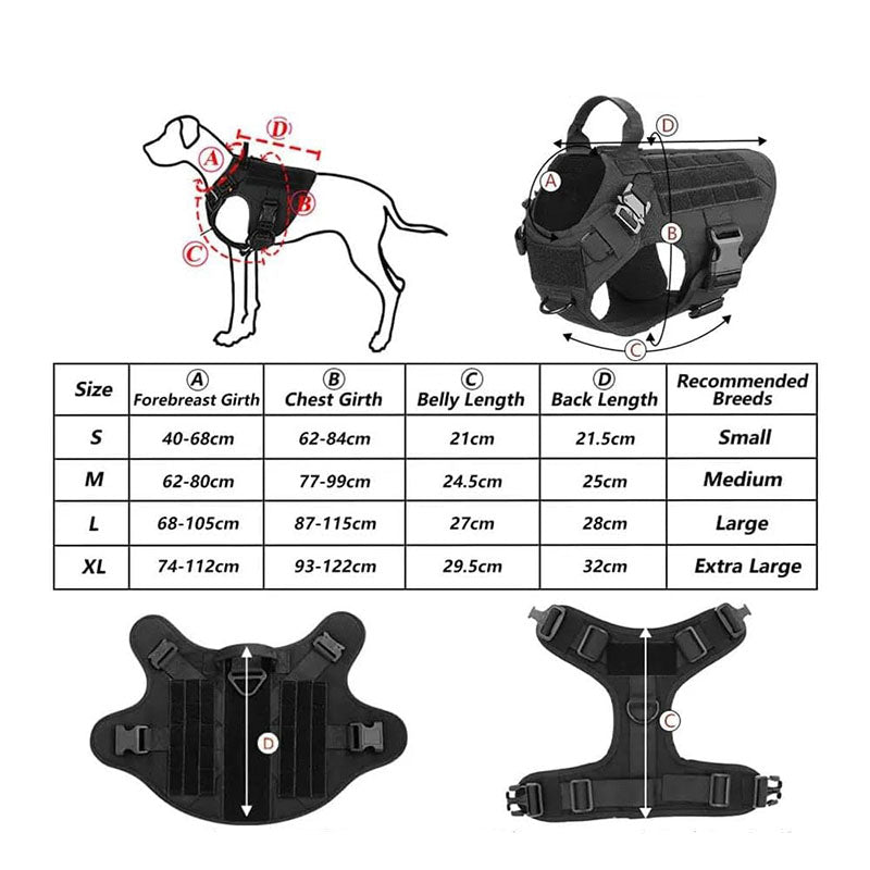 Hund bär militär anti-drag sele, optimal för säker och kontrollerad hundträning utomhus.