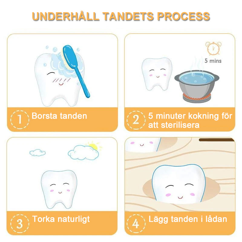 Tandlåda i miljövänligt furu för barn, rymmer 22 tänder, tillgänglig för pojke och flicka, kompakt design med nostalgisk charm.