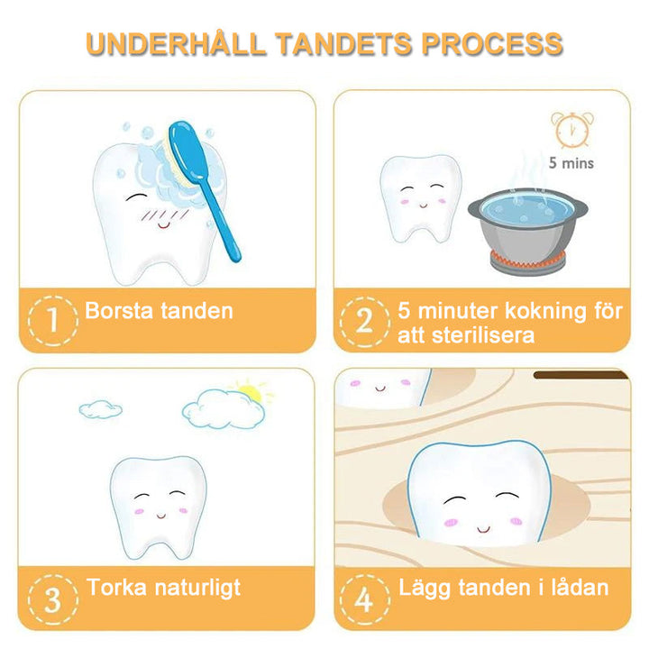 Tandlåda i miljövänligt furu för barn, rymmer 22 tänder, tillgänglig för pojke och flicka, kompakt design med nostalgisk charm.
