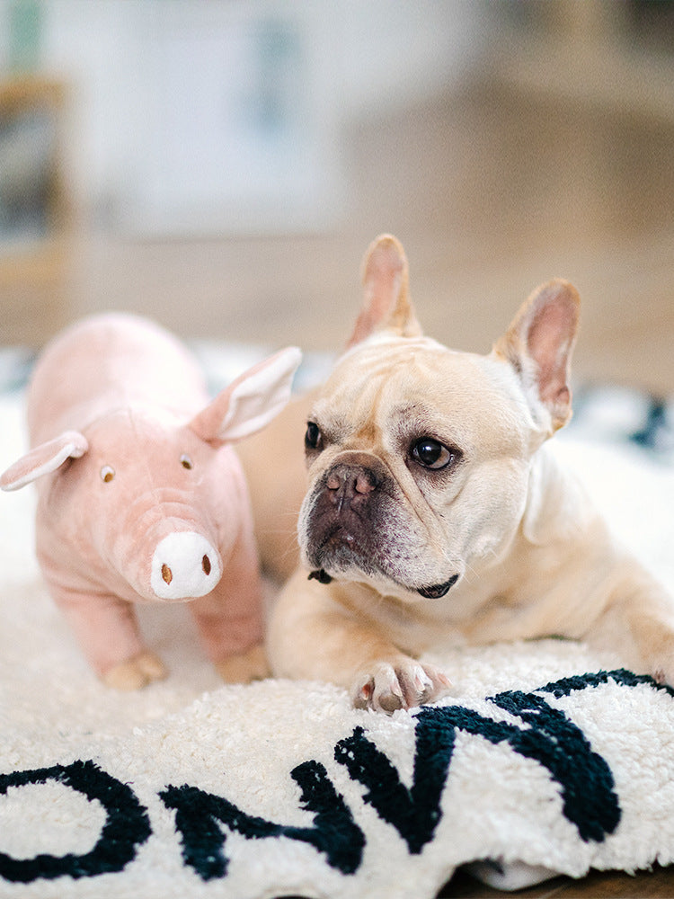 Mysig valpleksak och hundtillbehör som ger ångestlindring och trygghet för hunden.