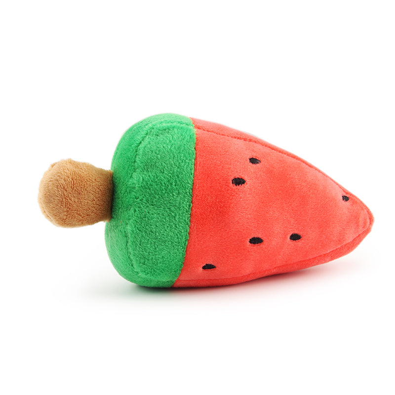 Katt leker glatt med en mjuk vattenmelon kattleksak. En färgglad djurleksak för timmar av aktivitet.