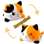 Tricolor katt