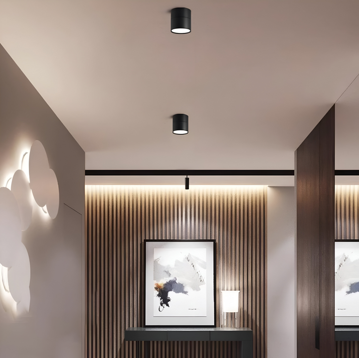 Justerbar LED spotlight taklampa, perfekt för modern heminredning och stilfullt ljus.