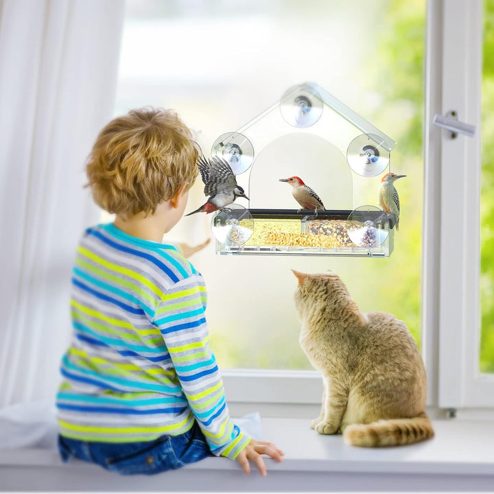 Barn och katt som tittar på fåglar vid ett fönster med fågelbord