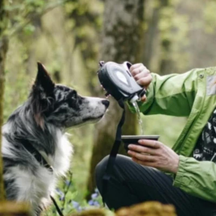 "Multifunktionellt hundkoppel med röd skål, blått band, inbyggd vattenbehållare och avfallspåsar för små och stora hundar."