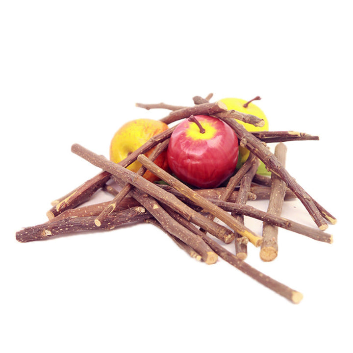 Gnagleksak med naturliga fruktgrenar för smådjur. Idealisk för tandsmälta och miljöberikning hos kaniner, marsvin.