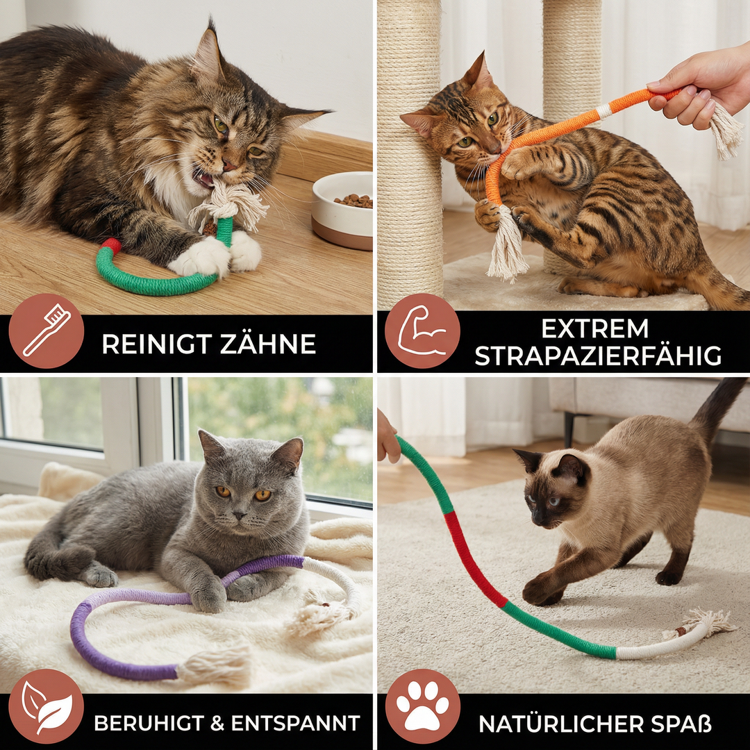 Tandvårdande kattleksak för innekatter, perfekt för att rengöra tänder och stimulera mentalt.