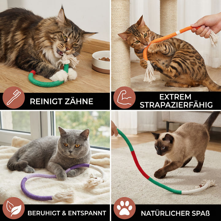 Tandvårdande kattleksak för innekatter, perfekt för att rengöra tänder och stimulera mentalt.
