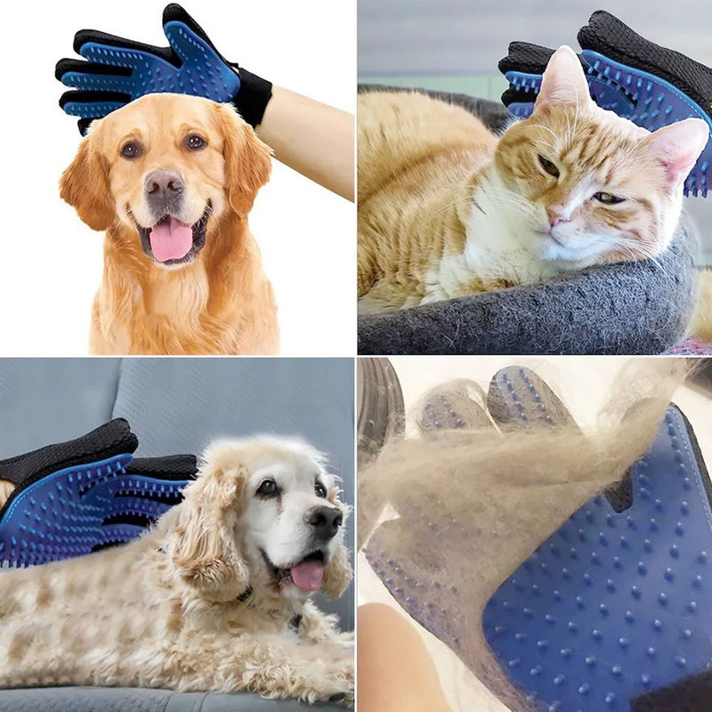 Pälshandske används för att borsta en glad hunds päls, effektiv hårborttagning & massage.