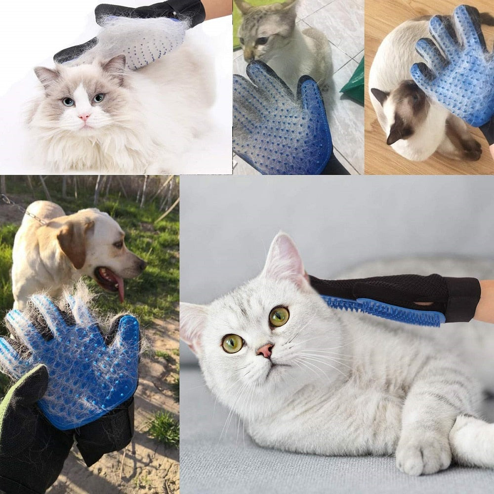 Katt njuter av massage & pälsvård med mjuk pälshandske, för glänsande päls.