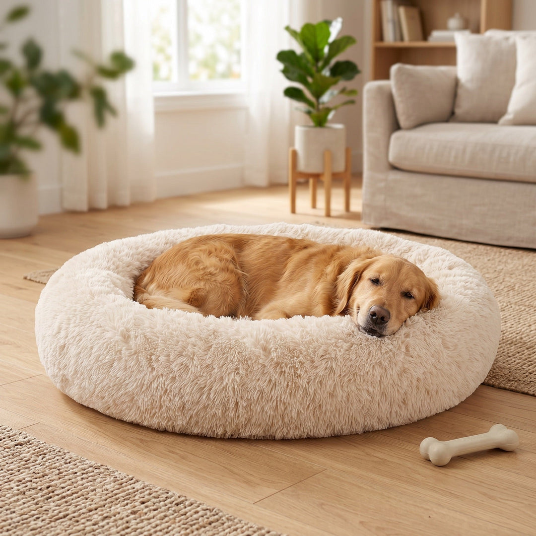Golden retriever som sover gott i en rund beige Zvarelo hundbädd