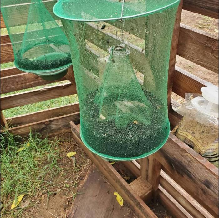 Grön upphängningsbar insektsfälla hängande i trädgård