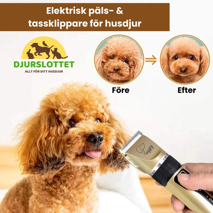 Komplett 11-delars groomingkit för hundar och katter, med tystgående trimmer & kloklippare.