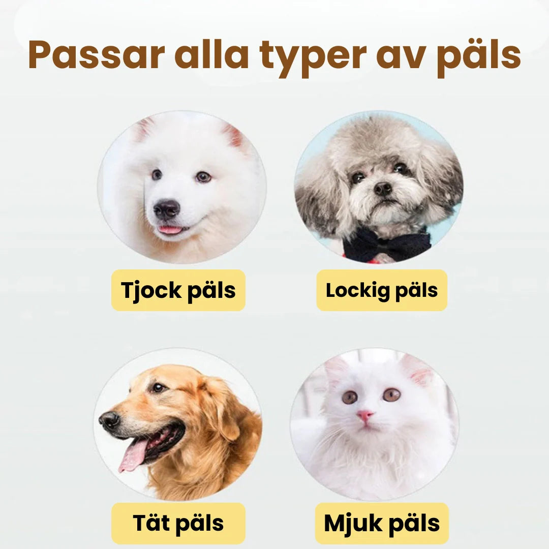 Professionellt 11-delars groomingkit med tystgående trimmer, kloklippare och groomingverktyg.