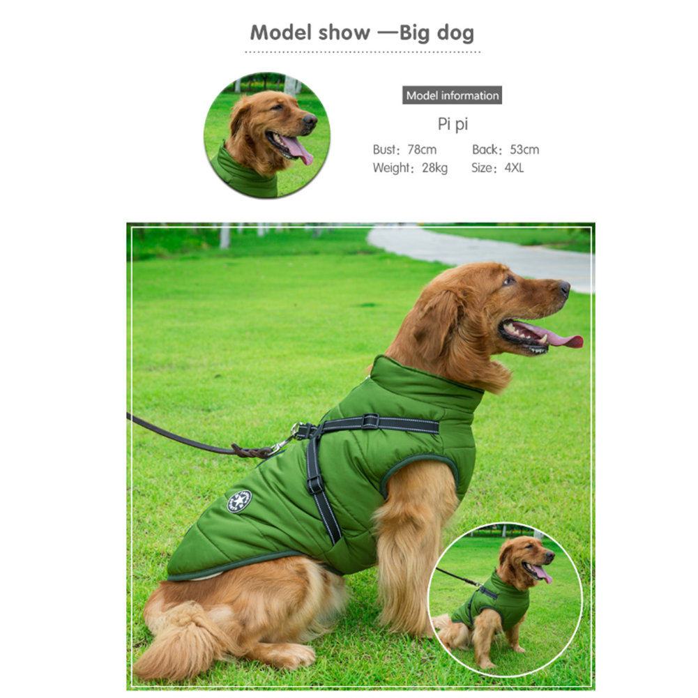 Hundkläder med reflexdetaljer och enkel påtagning för promenaden