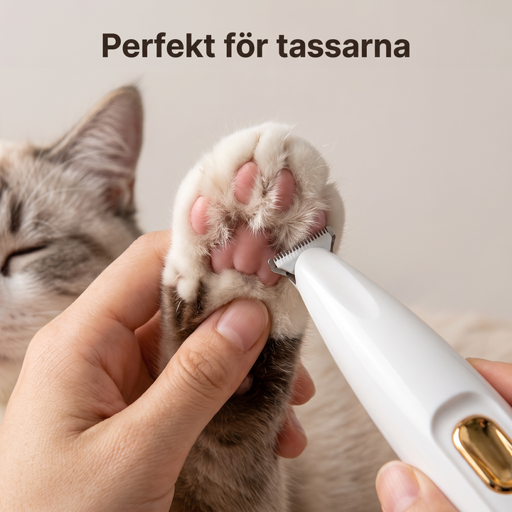 Tyst katttrimmer som klipper kattpäls skonsamt vid husdjursgrooming