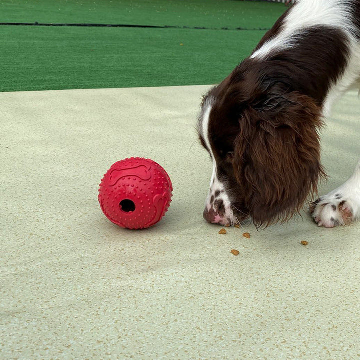 Röd aktiveringsboll i gummi för hund, stimulerar till långsam ätning & lek. Perfekt hundleksak.