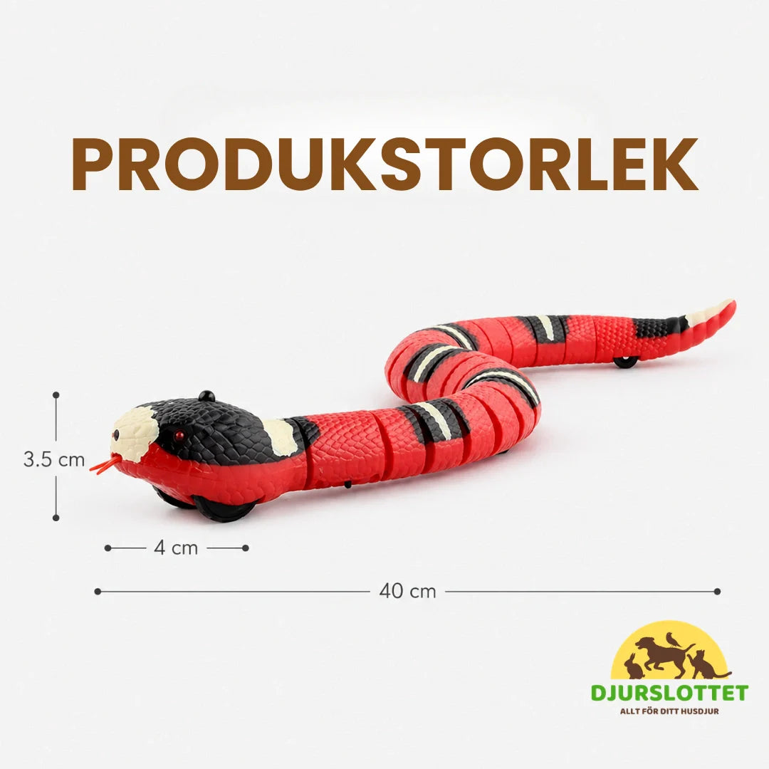 Katt leker med röd automatisk ormleksak. Interaktiv kattleksak som stimulerar kattens jaktinstinkter.