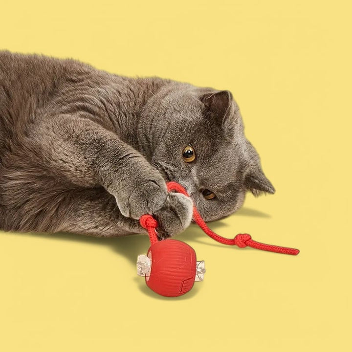 Rullande kattleksak som stimulerar kattens jaktinstinkt. Smart interaktiv boll för långvarig lek & aktivering.