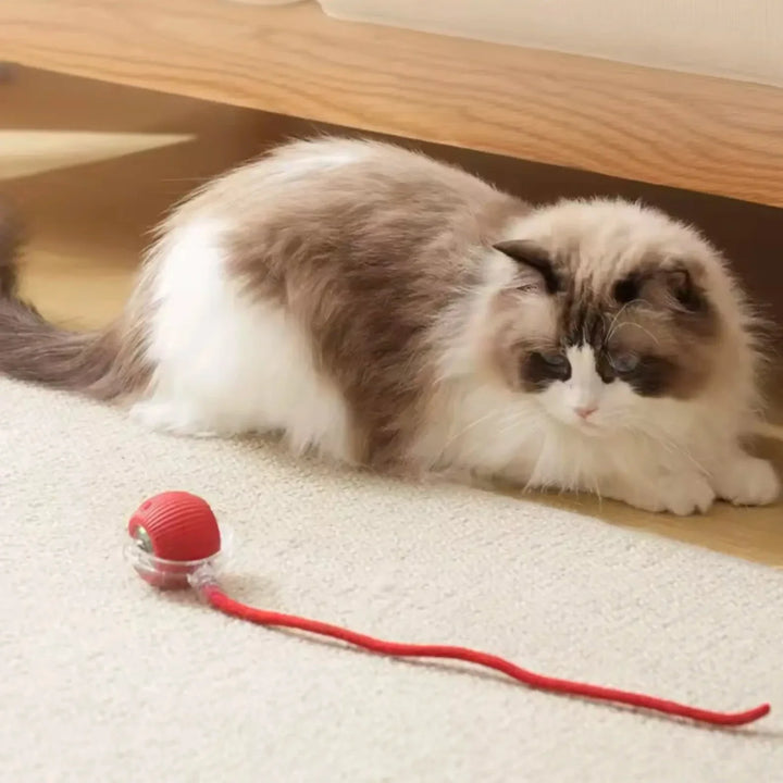Smart elektronisk kattleksak med hinderundvikande. Ger din katt rolig och stimulerande lek. Husdjurstillbehör.