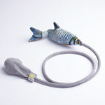 Crucian karp