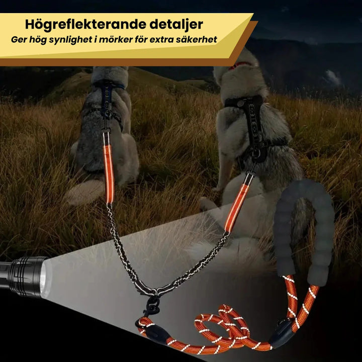 Trasselfritt, elastiskt dubbelkoppel för hundar, reflekterande design för ökad säkerhet utomhus.