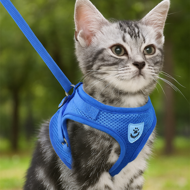 Praktisk, justerbar reflexsele och koppel för katt. Ett viktigt kattillbehör för säkra utomhusaktiviteter.