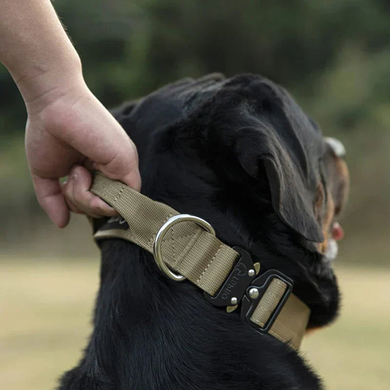 Nylon hundhalsband med ergonomiskt handtag för optimal kontroll och trygghet. Hållbart & bekvämt för husdjur.