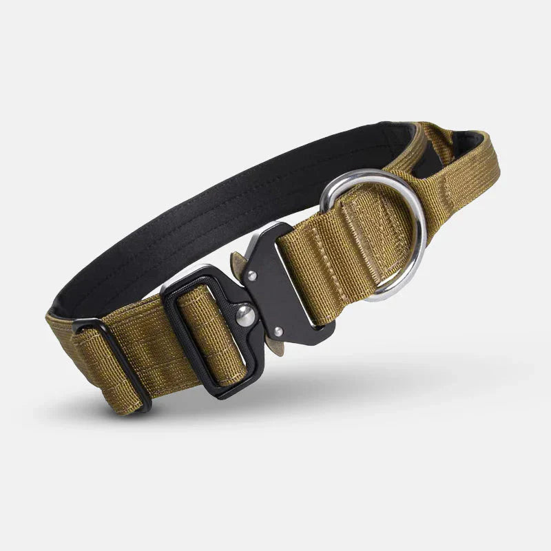 Hund bär säkert hundhalsband med handtag i nylon, vilket ger ägaren överlägsen kontroll under promenad & träning.