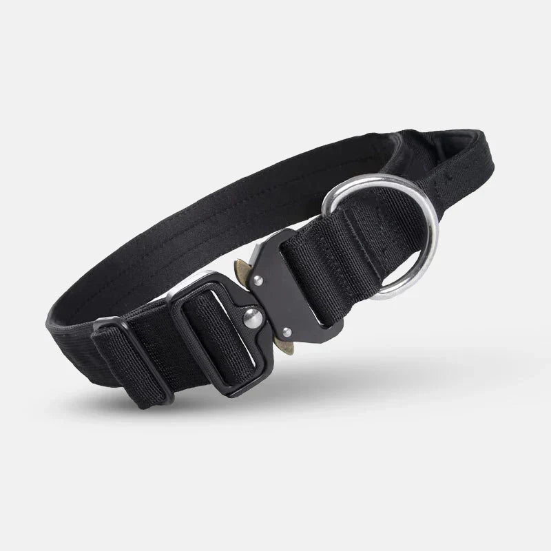 Slitstarkt hundhalsband i premium nylon med handtag för långvarig kontroll & komfort. Ett pålitligt tillbehör.
