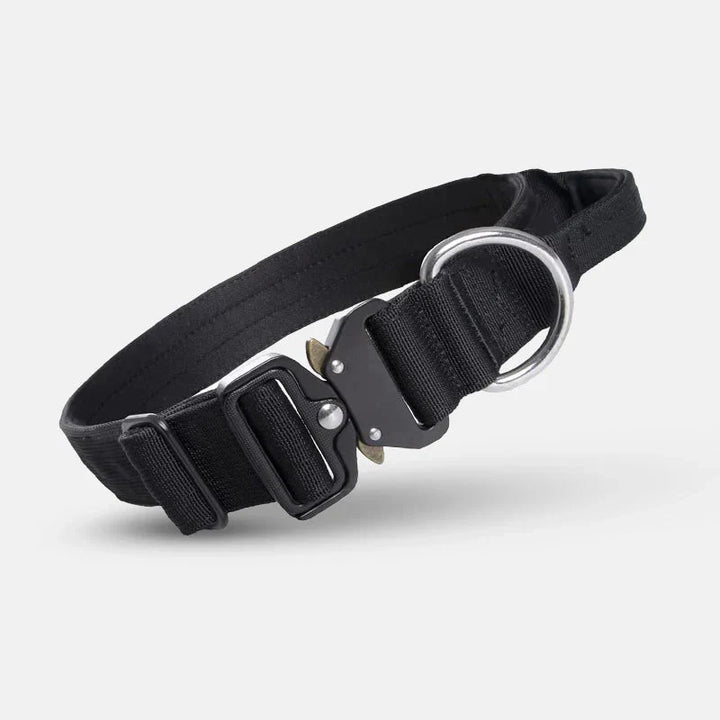 Slitstarkt hundhalsband i premium nylon med handtag för långvarig kontroll & komfort. Ett pålitligt tillbehör.
